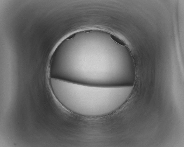 X0000113111524200909041236