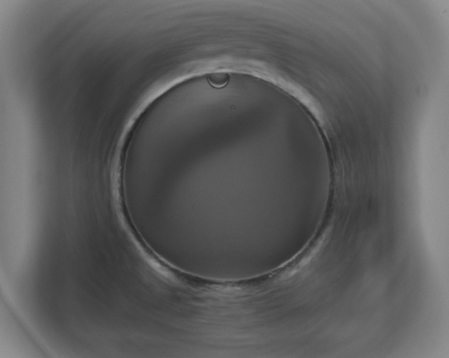 X0000113111525200909041236