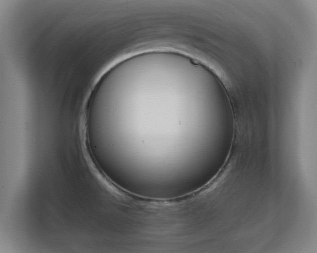 X0000113111526200909041236