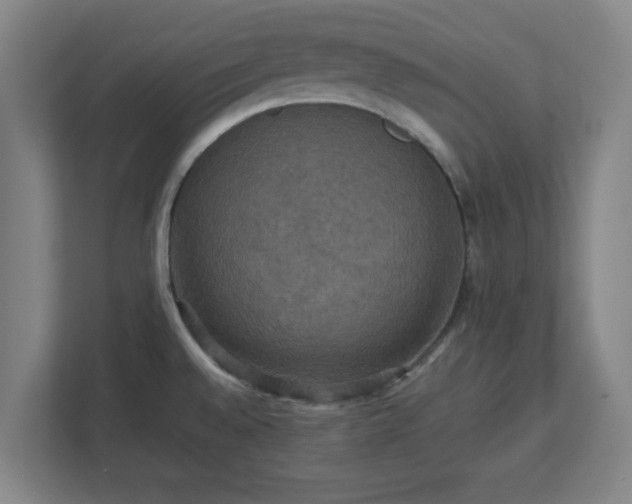 X0000113111528200909041236