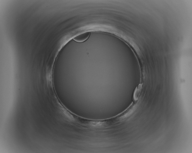 X0000113111529200909041236