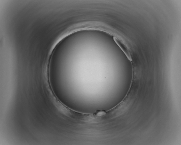X0000113111530200909041236