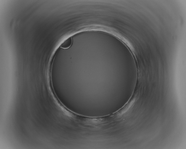 X0000113111533200909041236