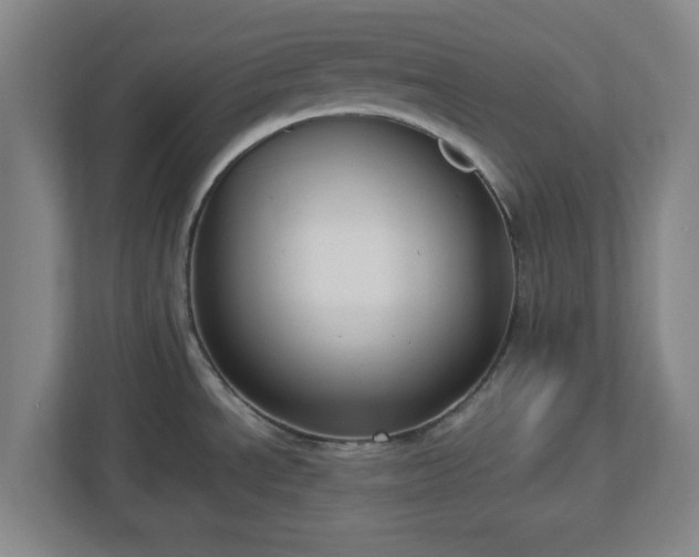 X0000113111534200909041236