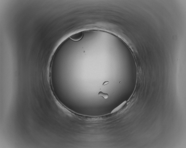 X0000113111535200909041236