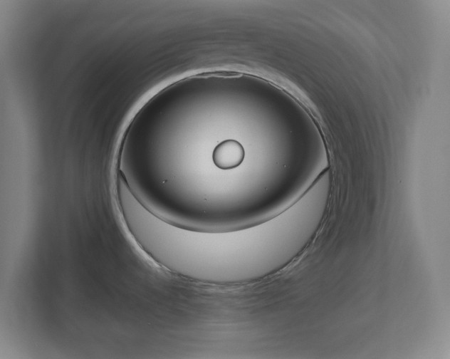 X0000113111536200909041236