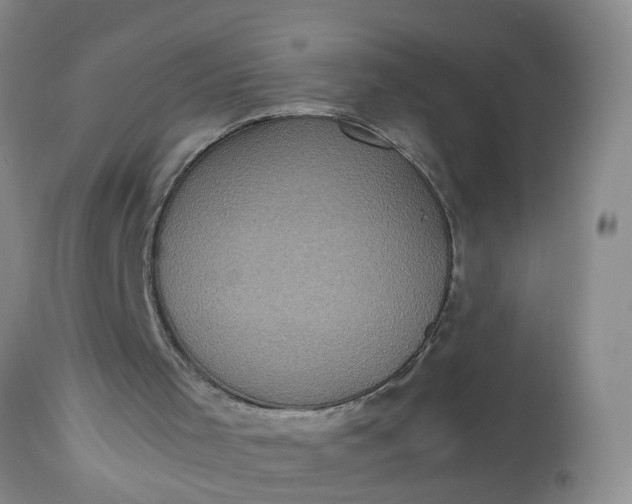 X0000113110001200909111126
