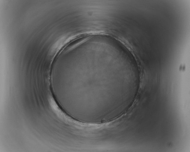 X0000113110002200909111126