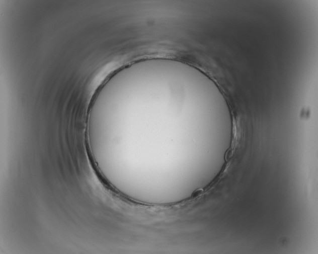 X0000113110003200909111126