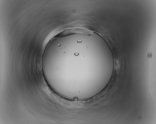 X0000113110004200909111126