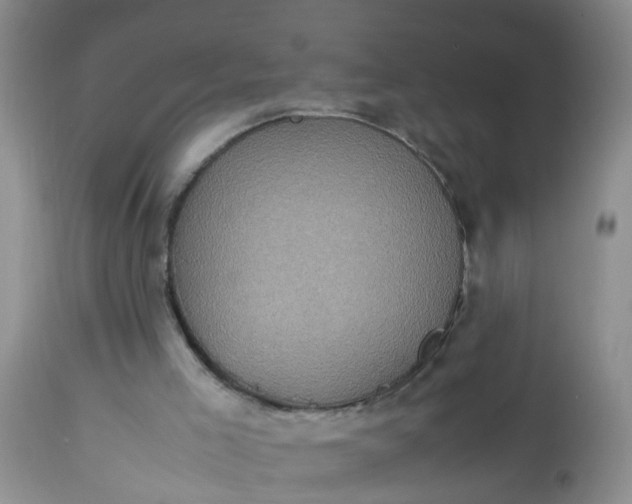 X0000113110005200909111126