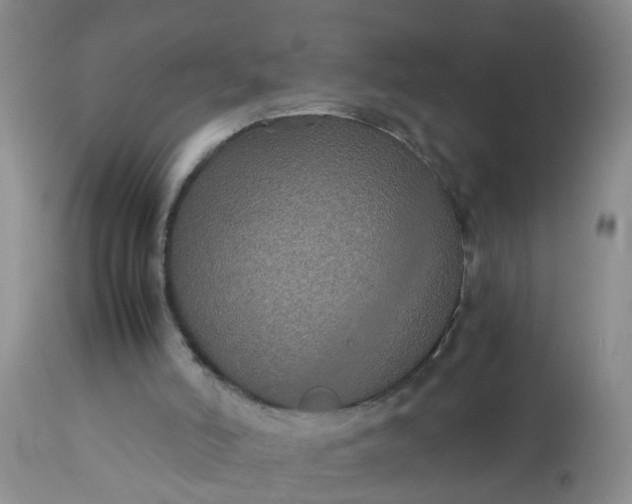 X0000113110006200909111126
