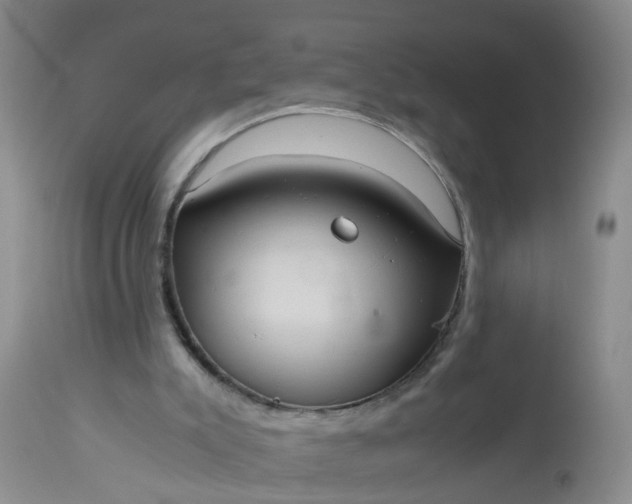 X0000113110007200909111126