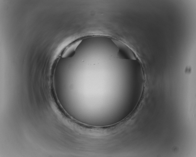 X0000113110008200909111126