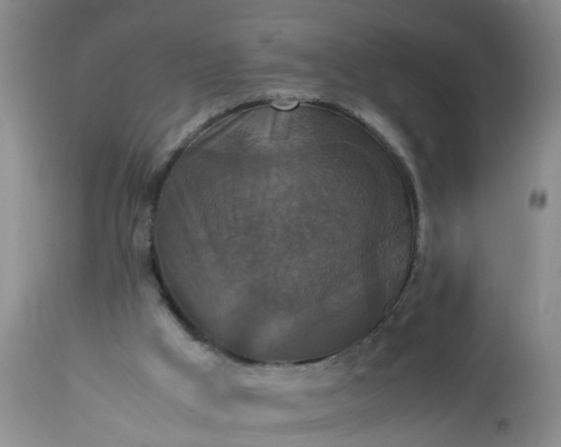X0000113110009200909111126