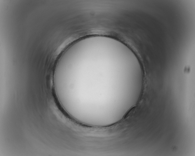 X0000113110011200909111126