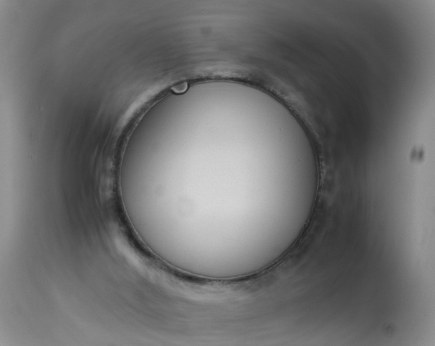X0000113110012200909111126