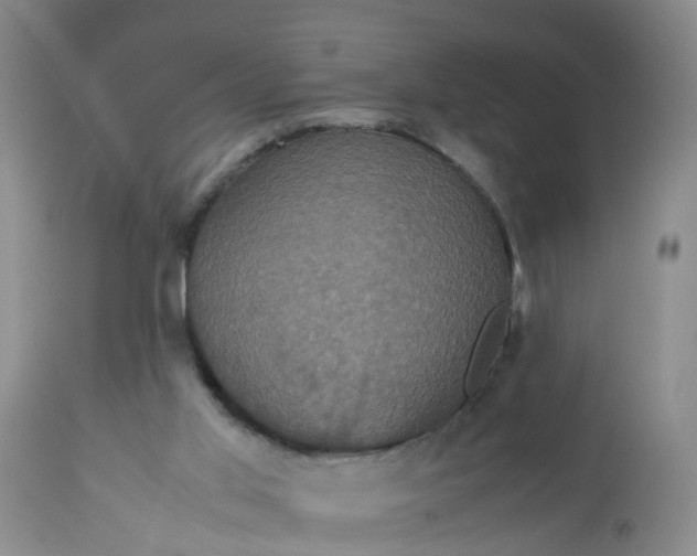 X0000113110013200909111126