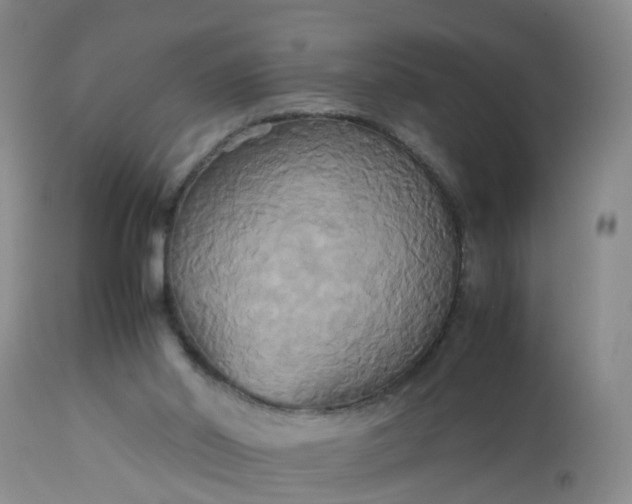 X0000113110014200909111126