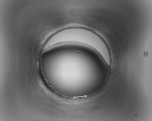 X0000113110015200909111126