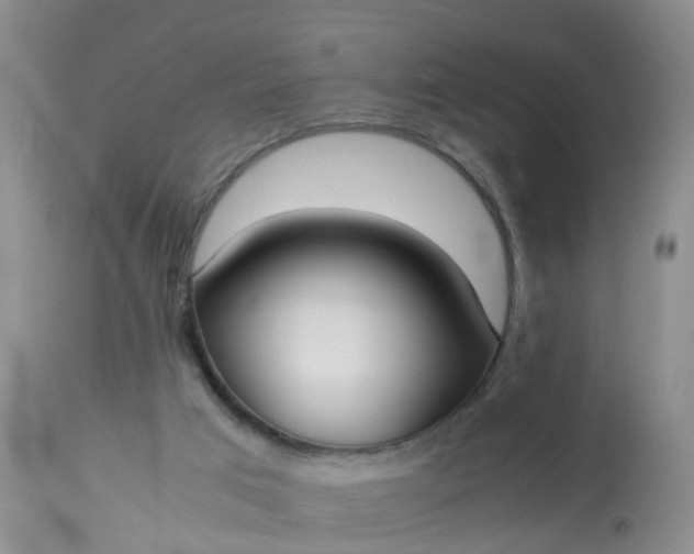 X0000113110017200909111126