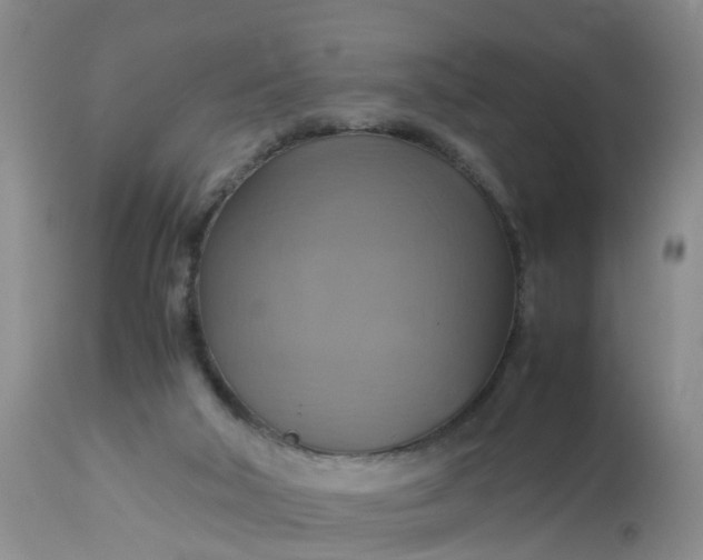 X0000113110018200909111126