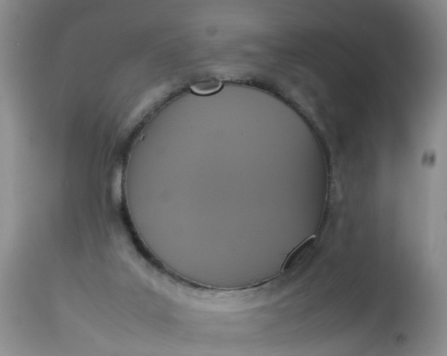 X0000113110019200909111125