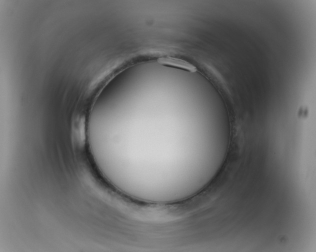 X0000113110020200909111125