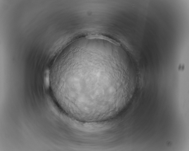 X0000113110022200909111125