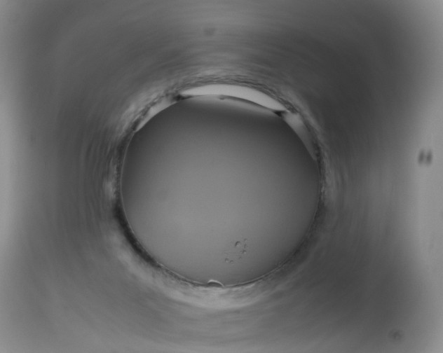 X0000113110023200909111125