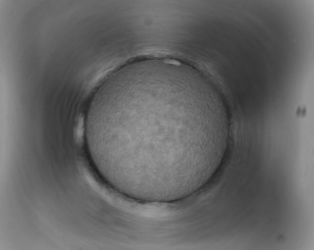 X0000113110024200909111125