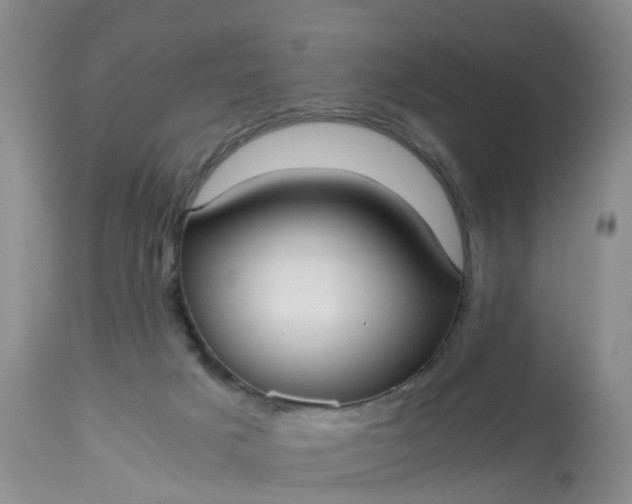 X0000113110025200909111125