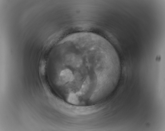 X0000113110026200909111125