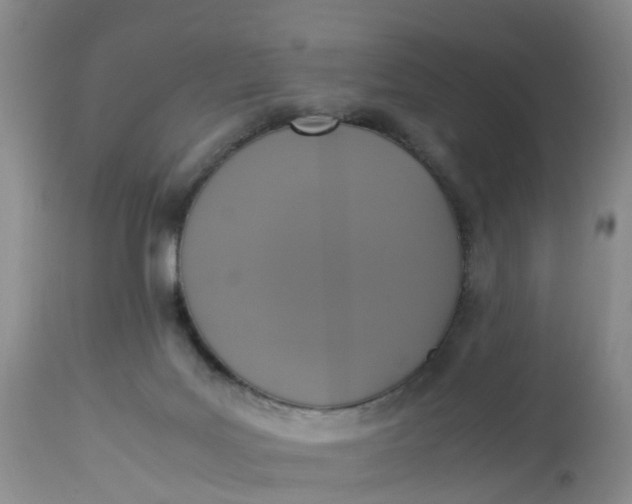 X0000113110027200909111125
