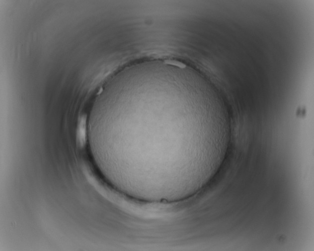 X0000113110028200909111125