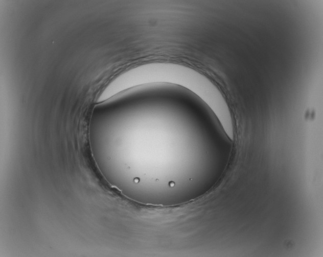X0000113110029200909111125