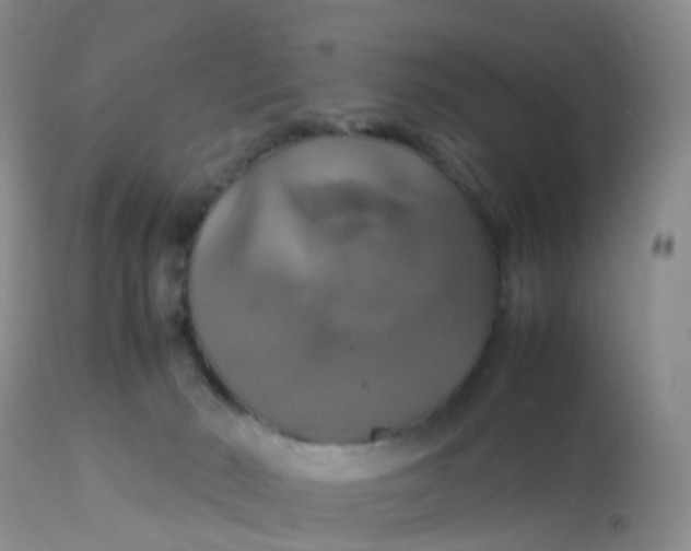 X0000113110030200909111125