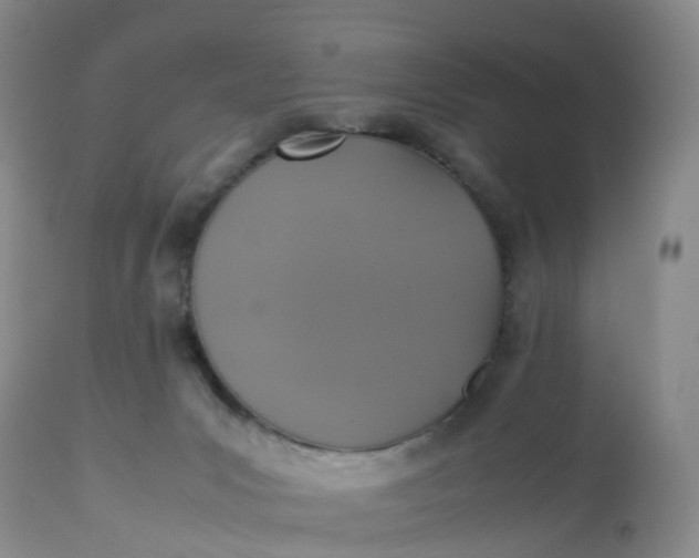 X0000113110031200909111125