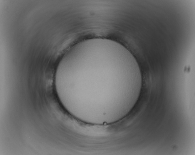 X0000113110032200909111125