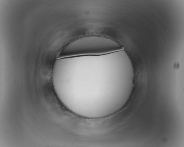 X0000113110033200909111125