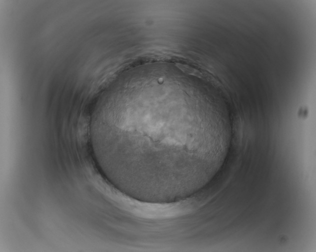 X0000113110034200909111125