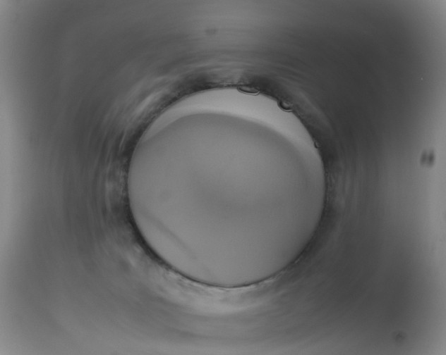 X0000113110035200909111125