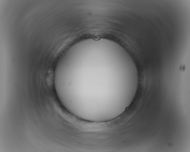 X0000113110036200909111125