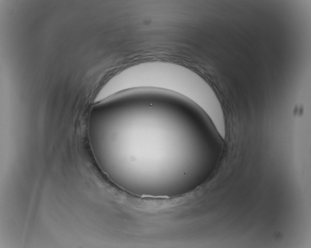 X0000113110037200909111125