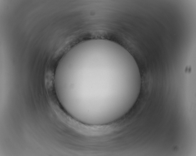 X0000113110038200909111125