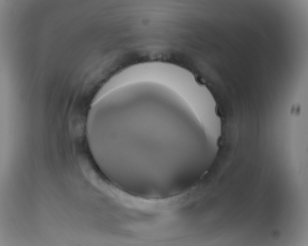 X0000113110039200909111125