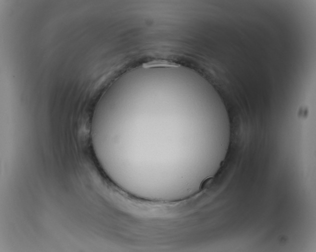 X0000113110040200909111125