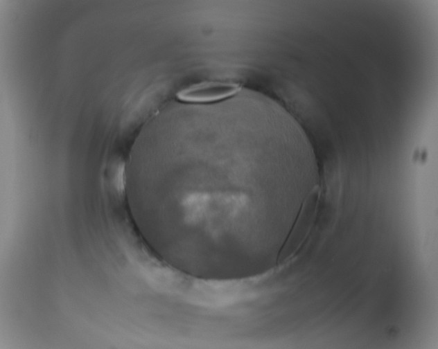 X0000113110041200909111125