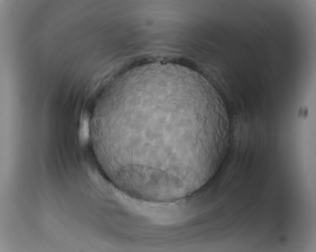 X0000113110042200909111125