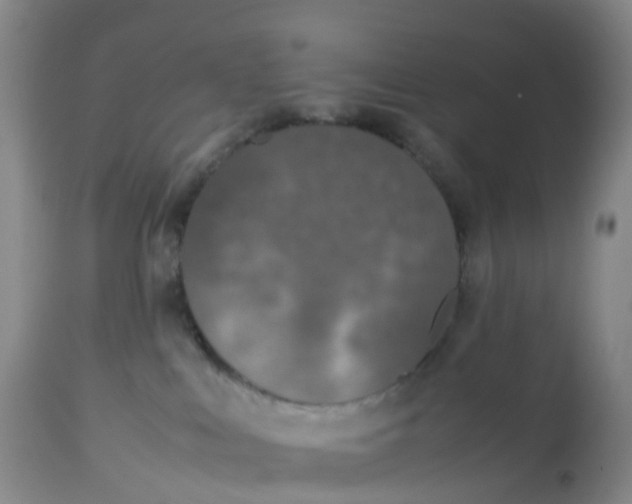 X0000113110043200909111125